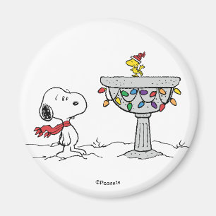 Imã Amendoins Snoopy & Woodstock congelado