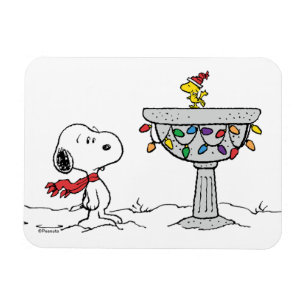 Ímã Amendoins Snoopy & Woodstock congelado