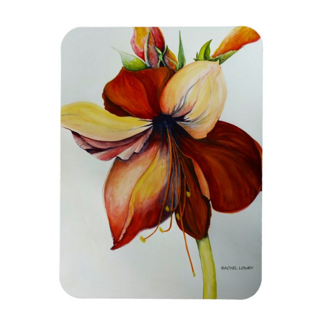 Ímã América 2018 (Vertical)