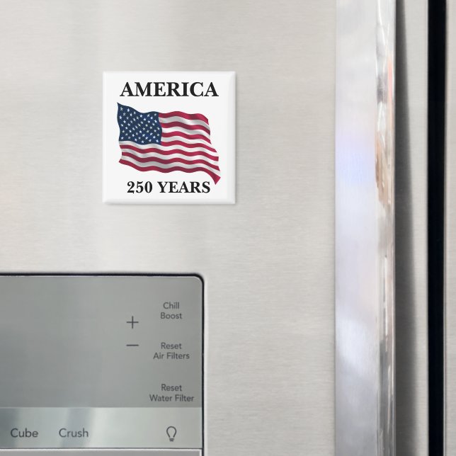 Imã America 250 Years Flag (In Situ (Fridge))