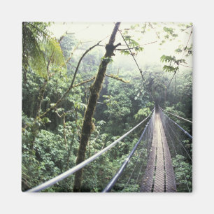 Imã América Central, Costa Rica, Nuvem Monteverde