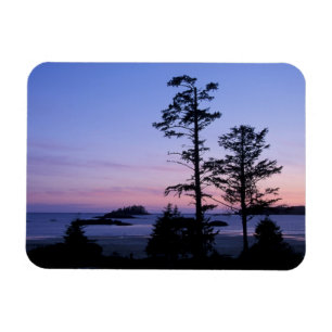 Ímã América do Norte, Canadá, Ilha de Vancouver, árvor