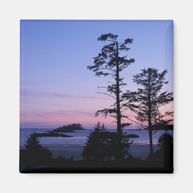 Imã América do Norte, Canadá, ilha de Vancouver, árvor (Frente)