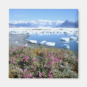 Imã América do Norte, EUA, Alasca, Príncipe William