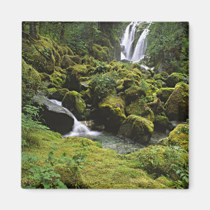 Imã América do Norte, EUA, Alasca. Uma cachoeira e