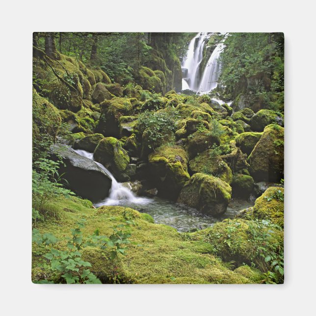 Imã América do Norte, EUA, Alasca. Uma cascata e (Frente)