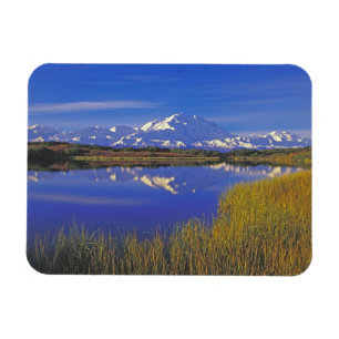 Ímã América do Norte, EUA, Alaska, Denali NP,
