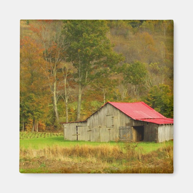 Imã América do Norte, EUA, Carolina do Norte, rural (Frente)