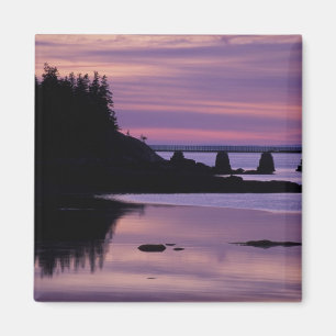 Imã América do Norte, EUA, EU, Isle Au Haut. Pato