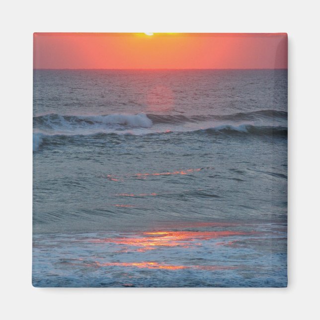 Imã América do Norte, EUA, Flórida, Canaveral (Frente)