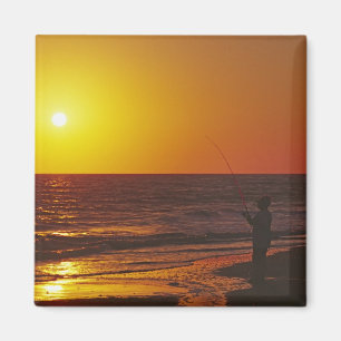 Imã América do Norte, EUA, Flórida, Ilha Sanibel.