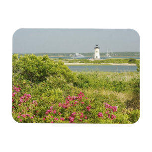 Ímã América do Norte, EUA, Massachusetts, Martha's
