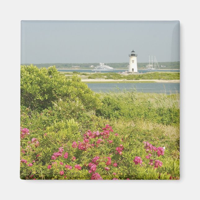 Imã América do Norte, EUA, Massachusetts, Martha's (Frente)