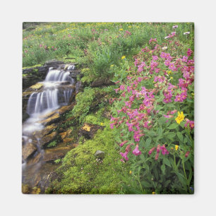 Imã América do Norte, EUA, Montana, Glacier National 