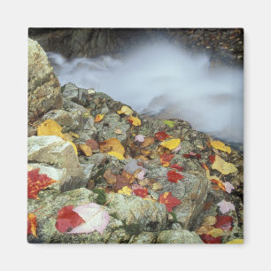 Imã América do Norte, EUA, NH, outono em Nova Inglate