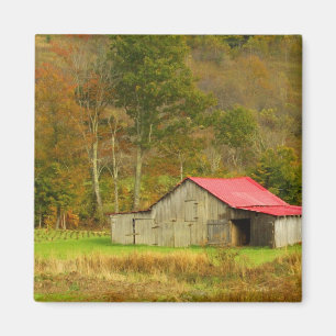 Imã America do Norte, EUA, North Carolina, rural