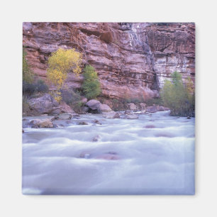 Imã América do Norte, EUA, Utah, Parque Nacional Zion.