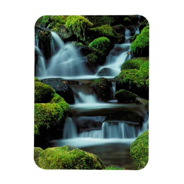 Ímã América do Norte; EUA; Washington, Cachoeira Sol D (Vertical)