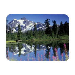 Ímã América do Norte, EUA, Washington, Heather Meadows