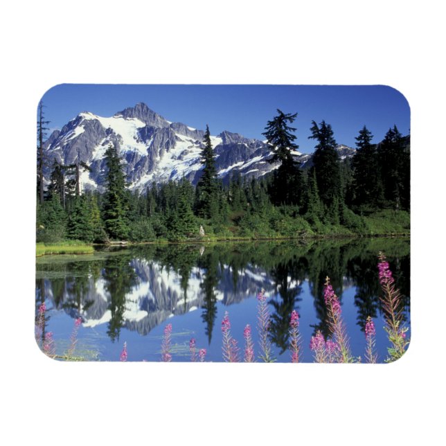 Ímã América do Norte, EUA, Washington, Heather Meadows (Horizontal)