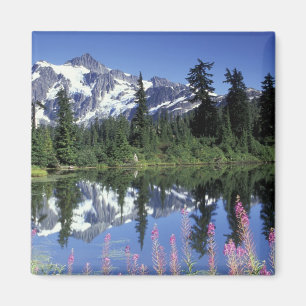 Imã América do Norte, EUA, Washington, Heather Meadows