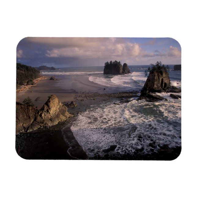 Ímã América do Norte, EUA, Washington, Olympic NP, (Horizontal)
