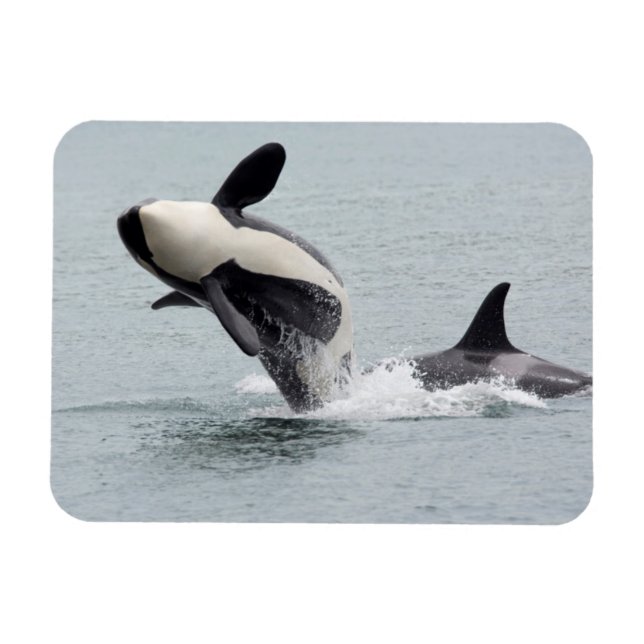 Ímã América do Norte, EUA, Washington, San Juan (Horizontal)