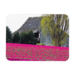 Ímã América do Norte, EUA, Washington, Vale de Skagit.