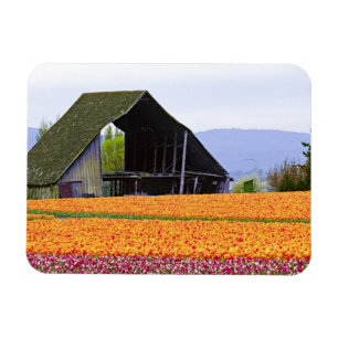 Ímã América do Norte, EUA, Washington, Vale de Skagit.