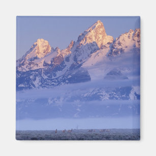 Imã América do Norte, EUA, Wyoming, Parque Nacional Gr