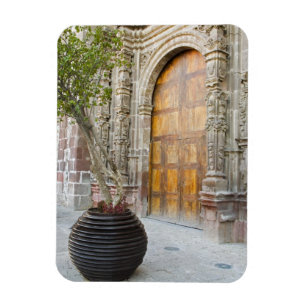 Ímã América do Norte, México, estado de Guanajuato, Sa