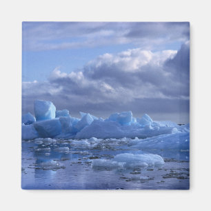 Imã América do Sul, Chile, San Rafael Lagoon NP.