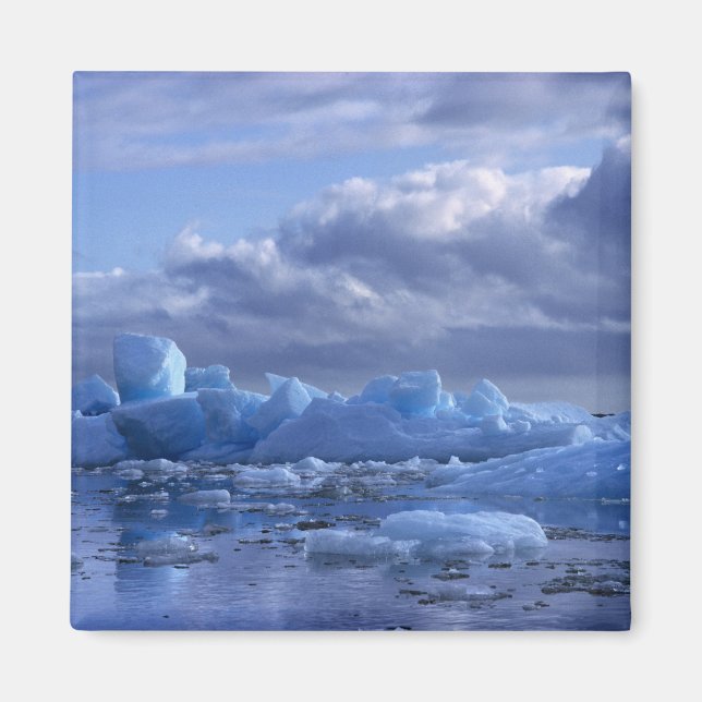 Imã América do Sul, Chile, San Rafael Lagoon NP. (Frente)