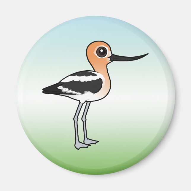 Imã American Avocet (Frente)