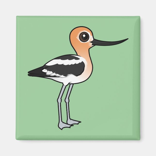 Imã American Avocet (Frente)