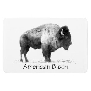 Ímã American Bison