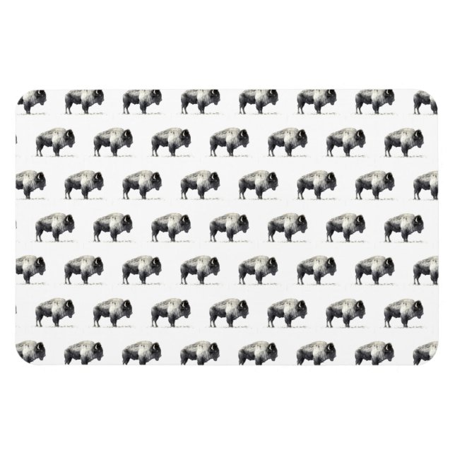 Ímã American Bison (Horizontal)