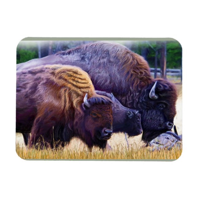 Ímã American Bison Family (Horizontal)