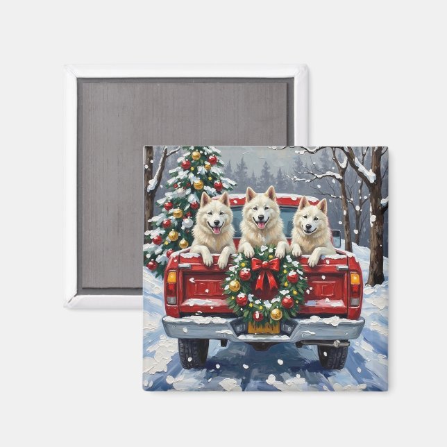 Imã American Eskimo Dog Christmas Red Truck Holiday (Front/Back)
