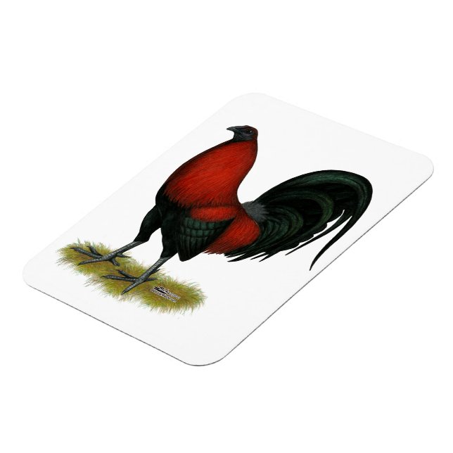 Ímã American Game BB Black Red Rooster (Left Side)