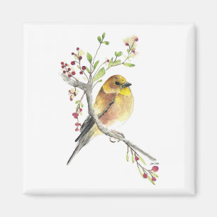 Imã American Goldfinch Bird Watercolor Art Magnet