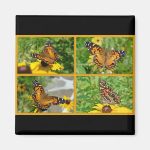 Imã American Lady Butterfly - Vanessa virginiensis
