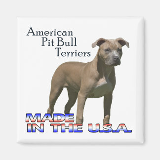 Imã "American Pit Bull Terriers" : Magnet Quadrado