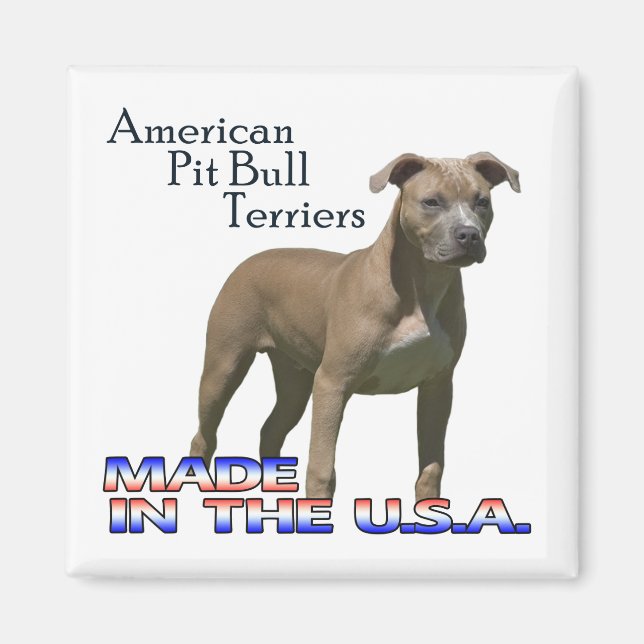 Imã "American Pit Bull Terriers" : Magnet Quadrado (Frente)