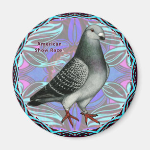 Imã American Show Racer