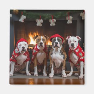 Imã American Staffordshire ao lado da Lareira Natal
