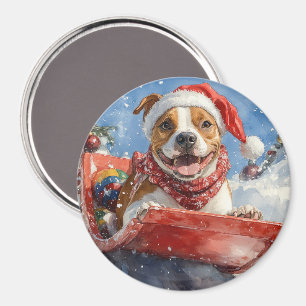 Imã American Staffordshire em trenó de Natal