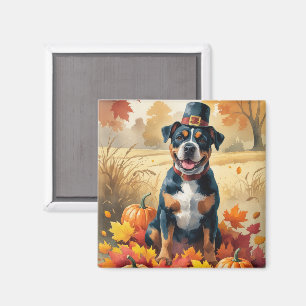 Imã American Staffordshire entre Folhas de Outono
