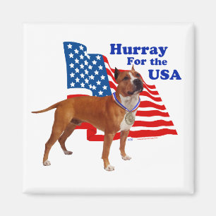 Imã American Staffordshire Terrier EUA