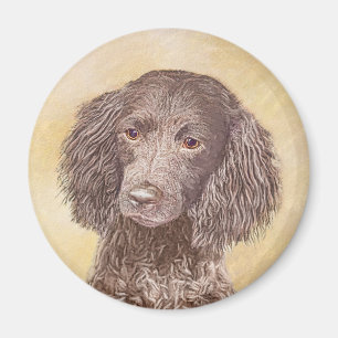 Imã American Water Spaniel Painting - Arte Original de